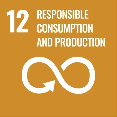 SDG 12