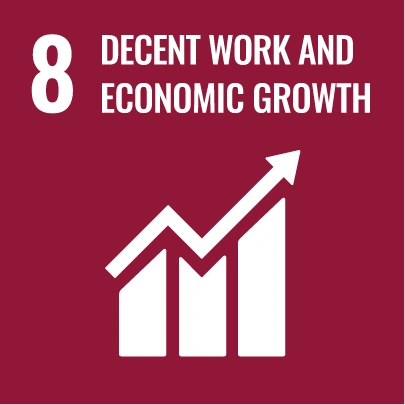 SDG 8