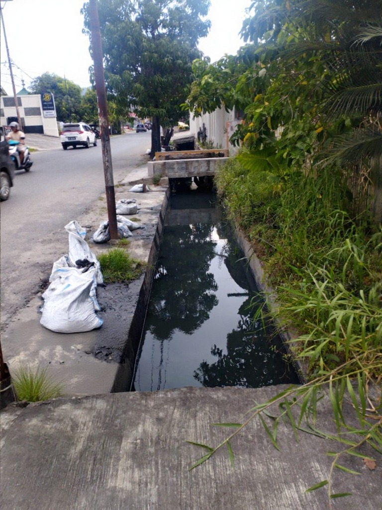 Penghijauan Sempadan Alam Desa Dunu